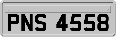 PNS4558