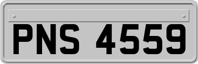 PNS4559
