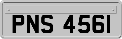 PNS4561
