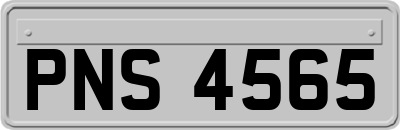 PNS4565