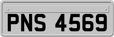 PNS4569