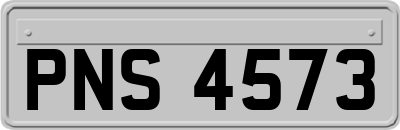PNS4573