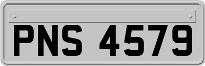 PNS4579