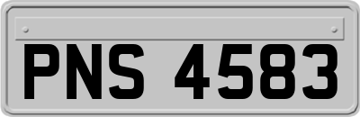 PNS4583