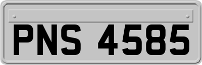 PNS4585