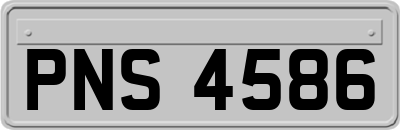 PNS4586