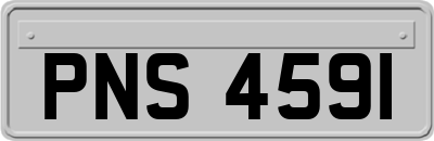 PNS4591