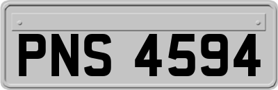 PNS4594