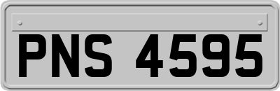 PNS4595