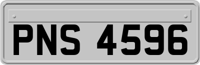PNS4596