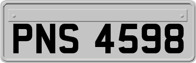 PNS4598