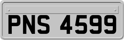 PNS4599