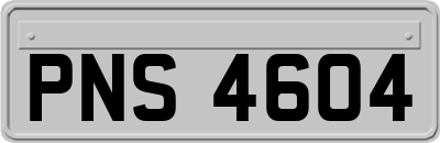 PNS4604