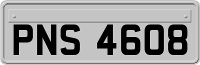 PNS4608