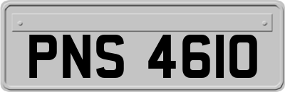 PNS4610
