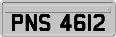 PNS4612