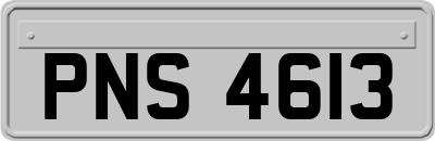 PNS4613