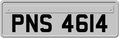 PNS4614