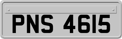 PNS4615