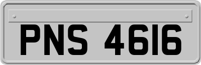 PNS4616