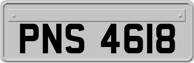 PNS4618