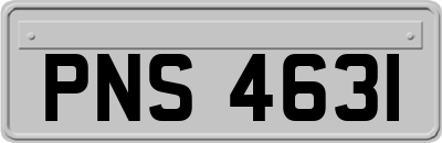 PNS4631
