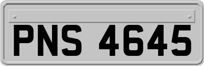 PNS4645
