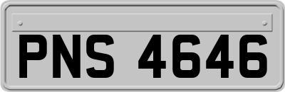 PNS4646