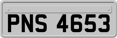 PNS4653
