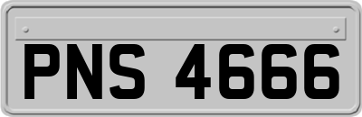 PNS4666