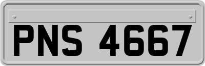 PNS4667
