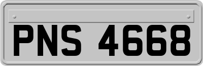 PNS4668