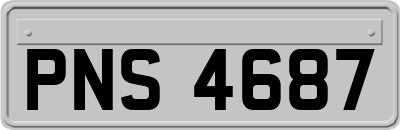 PNS4687