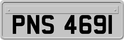 PNS4691