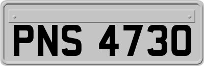 PNS4730