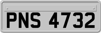 PNS4732