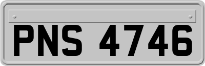 PNS4746