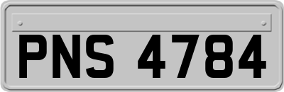 PNS4784