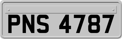 PNS4787