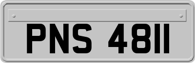 PNS4811