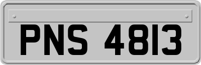 PNS4813