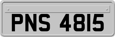 PNS4815