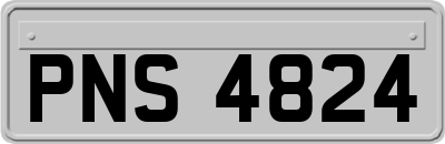 PNS4824