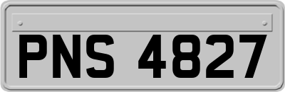PNS4827