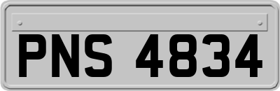PNS4834