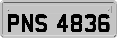 PNS4836