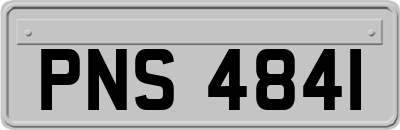 PNS4841