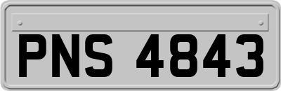 PNS4843