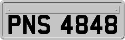 PNS4848