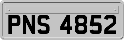 PNS4852